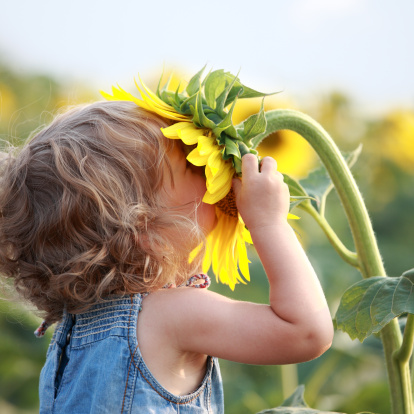 kid smelling a sunflower