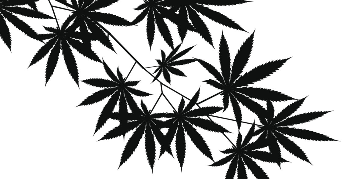 black and white cannabis leaves