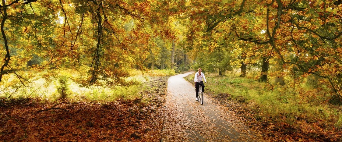 woman cycling in the park in fall